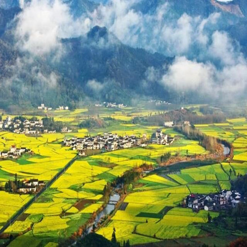 安徽黄山九华山西递宏村千岛湖婺源新安江徽州古城8天7晚跟团旅游 - 定制游预订