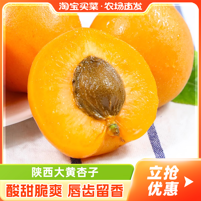陕西大黄杏子5斤装大果当季太阳杏酸甜杏现摘现发好酸口强推淘客