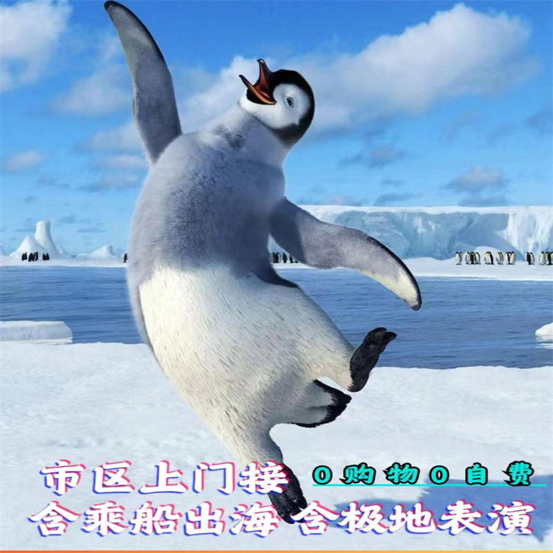 青岛极地海洋公园+赠送乘船出海+栈桥+八大关+五四奥帆+小麦岛公 - 定制游预订