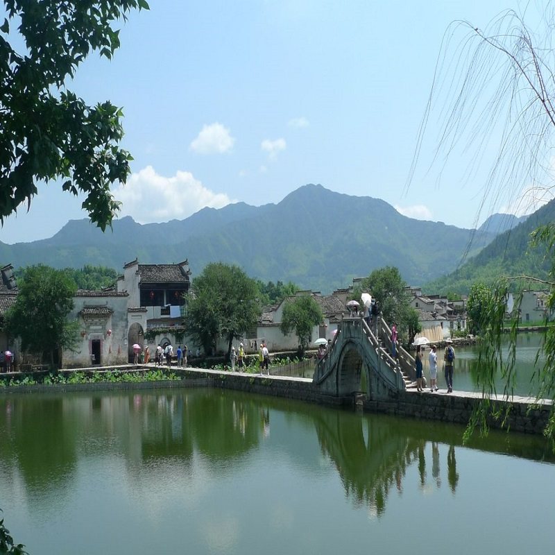 纯玩【多地高铁往返】黄山风景区+婺源篁岭+西递宏村4天3晚跟团游 - 定制游预订