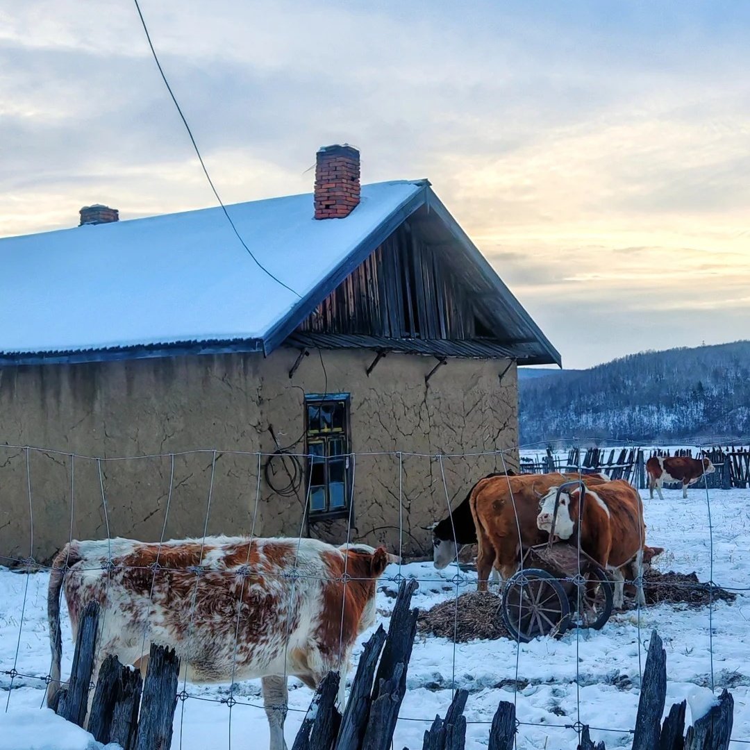北极村追光酒店住宿+北极村成人门票