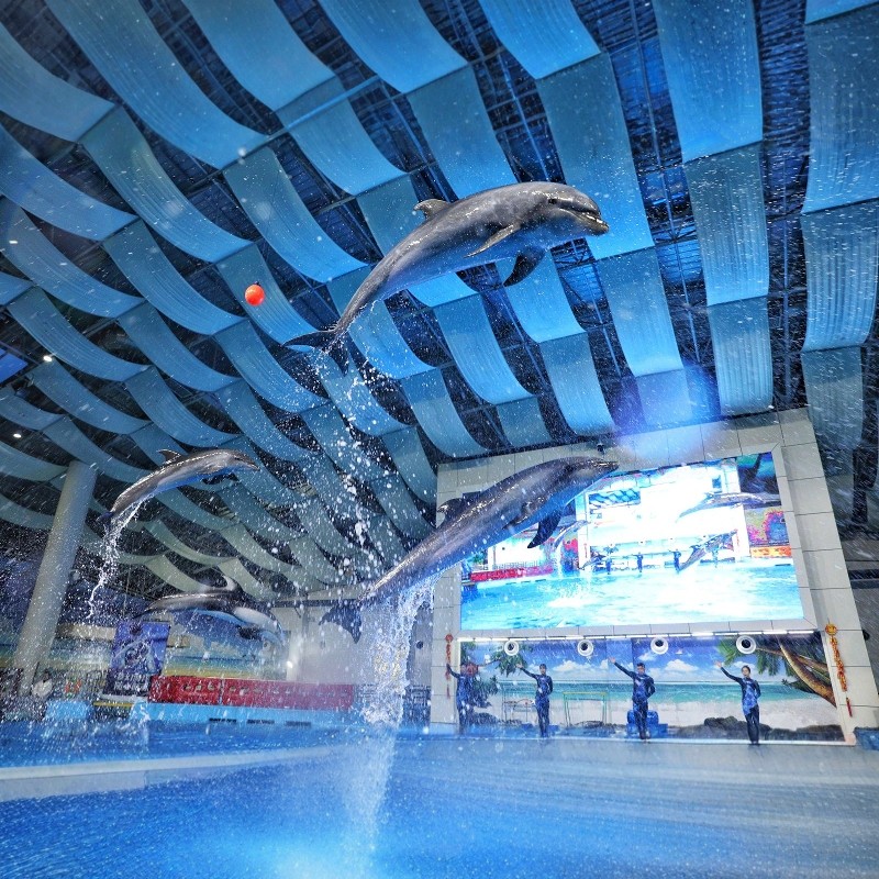 【寒假早鸟】 合肥-合肥洲际酒店2天1晚自由行随心选+合肥海洋世界门票