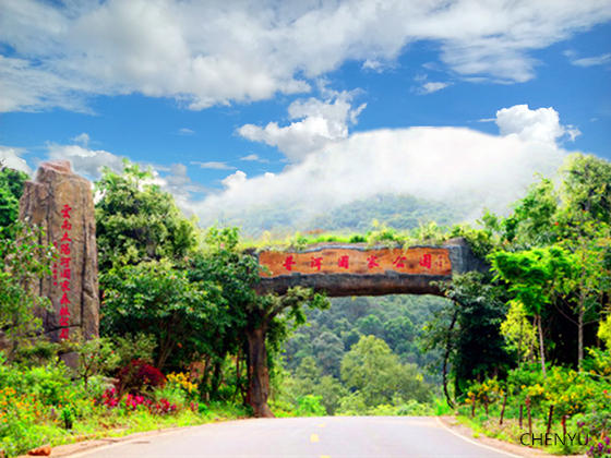 小黑江森林公园