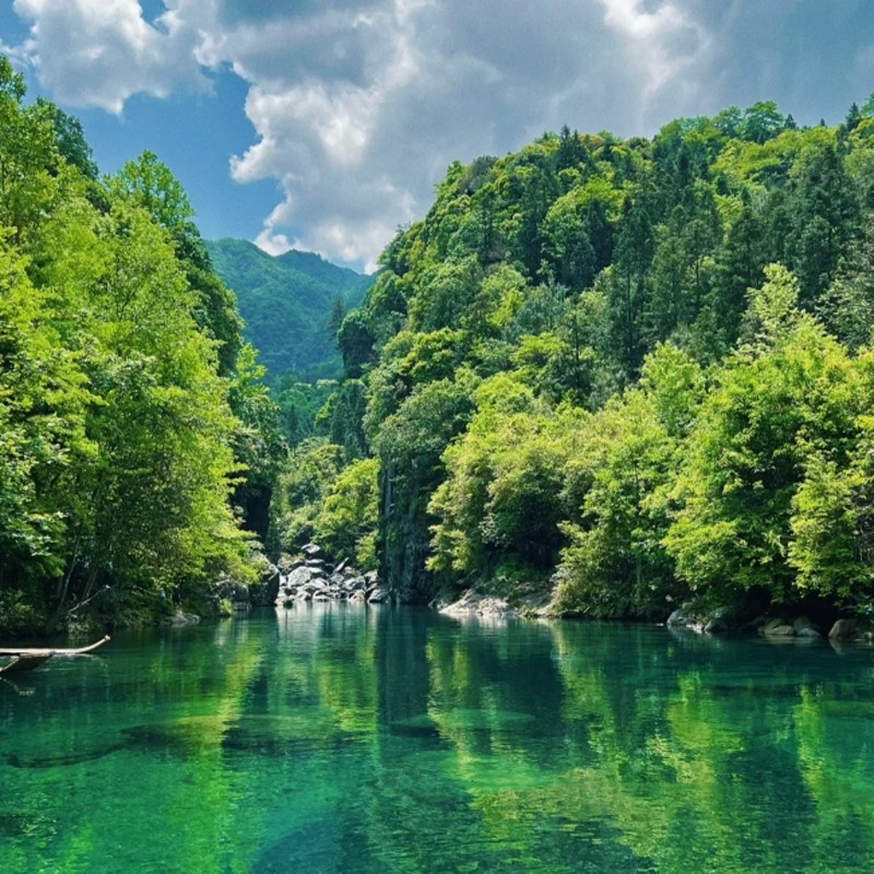 z【安徽】2天1晚池州自由行住全季酒店+九华山门票