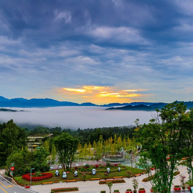 2大1小亲子雅安碧峰峡萌趣酒店住宿1晚+野生动物世界/熊猫基地
