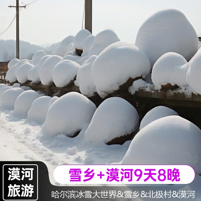 雪乡+漠河亚布力滑雪白桦林龙江第一湾北极村驯鹿园9天8晚跟团游 - 定制游预订