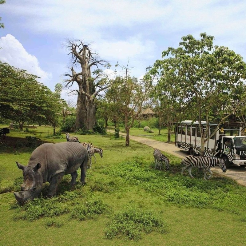 【富春山居画中游】2晚杭州富春山居高尔夫度假村+龙门古镇/富春桃园/动物园景点随心选