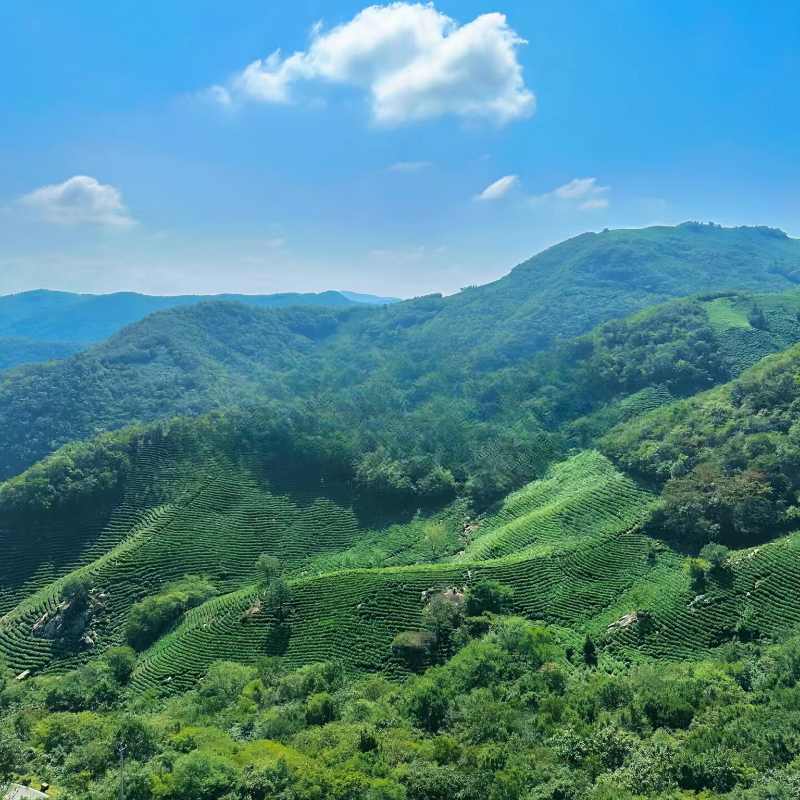 【信阳3天2晚】吉小象/何家寨露营基地/露营游/云崖古寨/信阳旅游/秋冬周边游