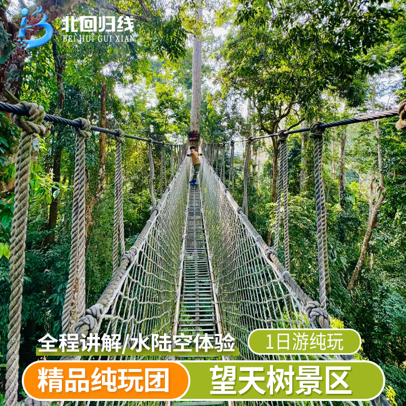 云南旅游 西双版纳 望天树热带雨林深度纯玩一日游 全程讲解 - 定制游预订