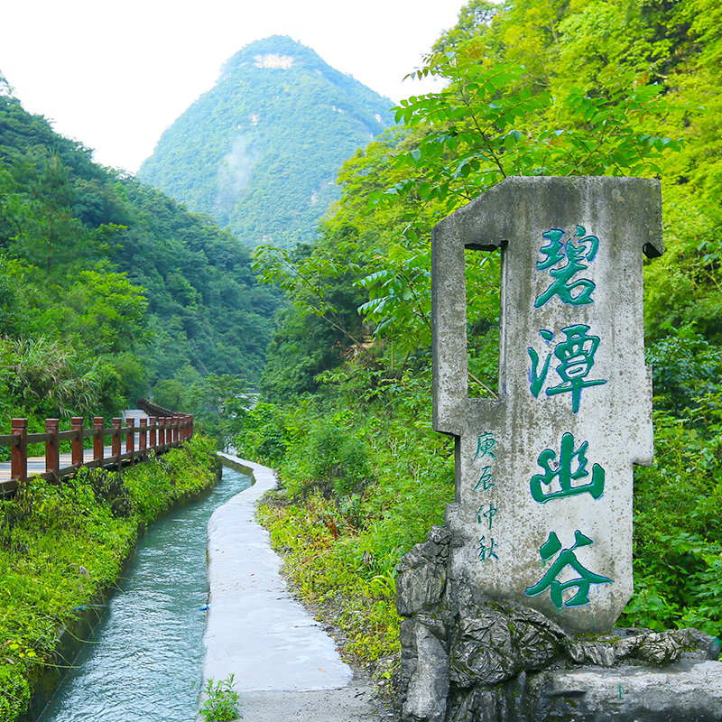 【2大1小】金佛山酒店2天1晚+金佛山+神龙峡+3人早餐