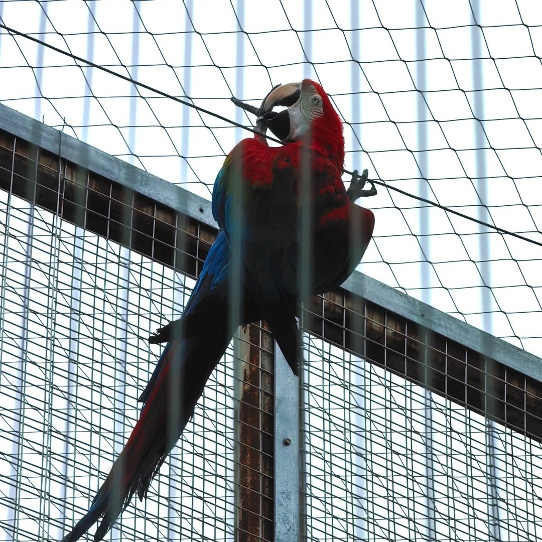 兰州野生动物园星空屋住宿+兰州野生动物园成人门票
