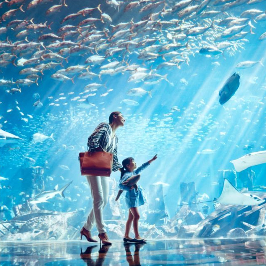 青岛威海烟台蓬莱6天5晚自由行 - 定制游预订