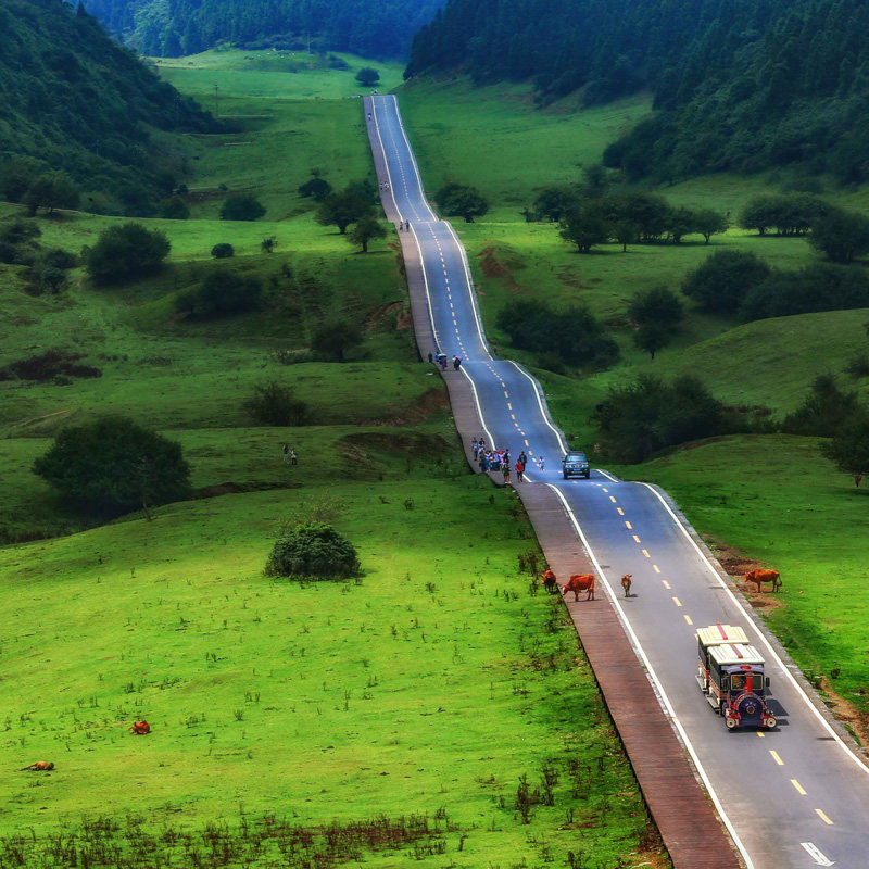 重庆3天2晚三日私家团包车旅游0购物武隆天坑地缝仙女山大足石刻 - 定制游预订