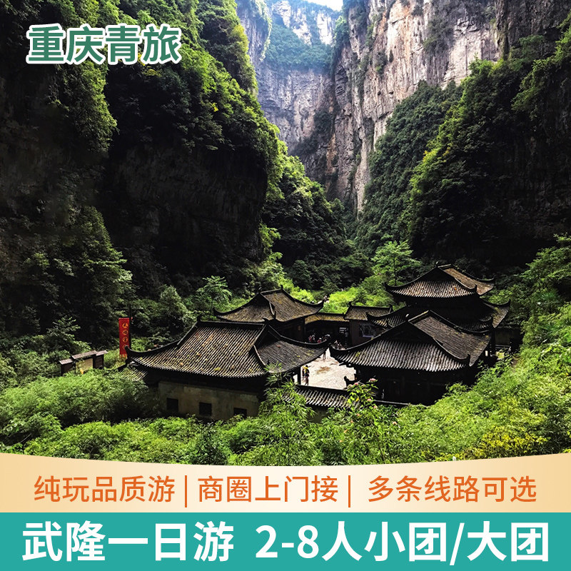 重庆武隆一日游 周边旅游纯玩武隆天坑地缝仙女山天生三桥8人小团 - 定制游预订