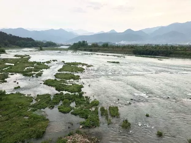 江滨公园图片