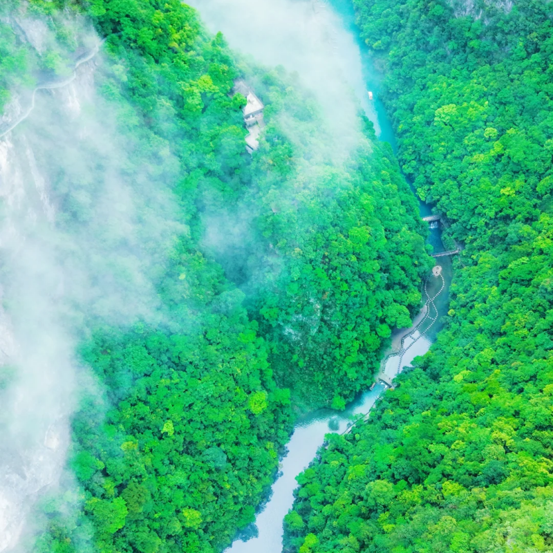 【湖北大全景|私家包车游】宜昌+神农架+大九湖+恩施+屏山 8日游 - 定制游预订
