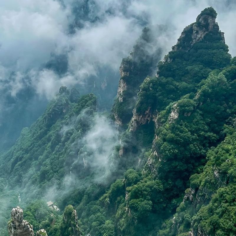 【2人】石家庄动物园+漫山花溪谷+河北保定白石山景区++精品酒店自由行