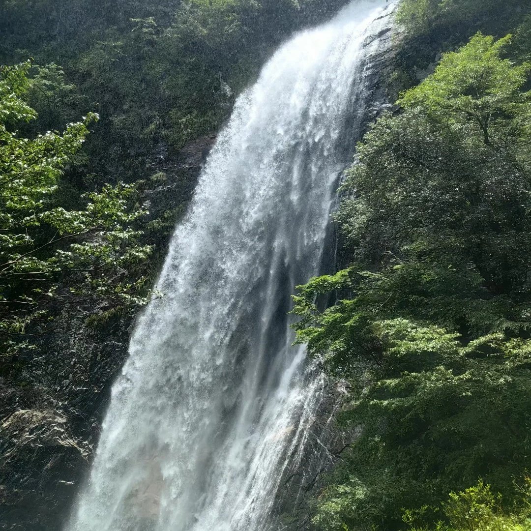 天堂寨天堂栖悦酒店住宿+天堂寨成人门票