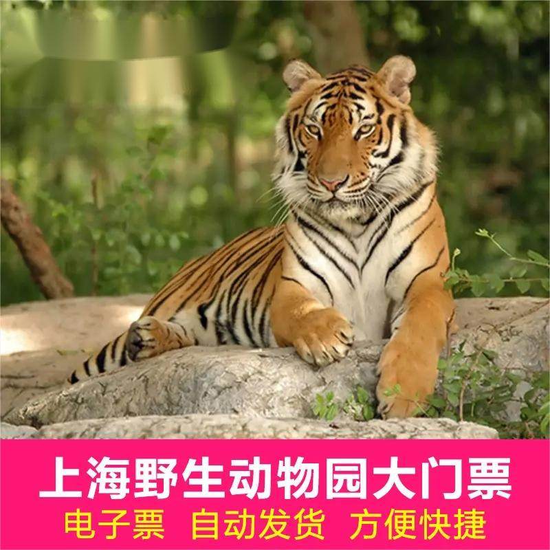 上海浦东温德姆花园酒店高级房1晚+上海野生动物园门票+接送服务 - 定制游预订