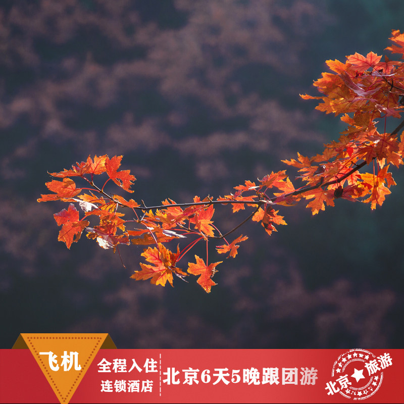 北京6天5晚半自由行故宫博物院颐和园八达岭长城天安门广场升旗 - 定制游预订