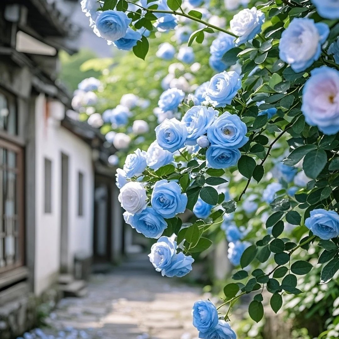 郑州二七广场大卫城亚朵酒店住宿+中原福塔成人票 - 定制游预订