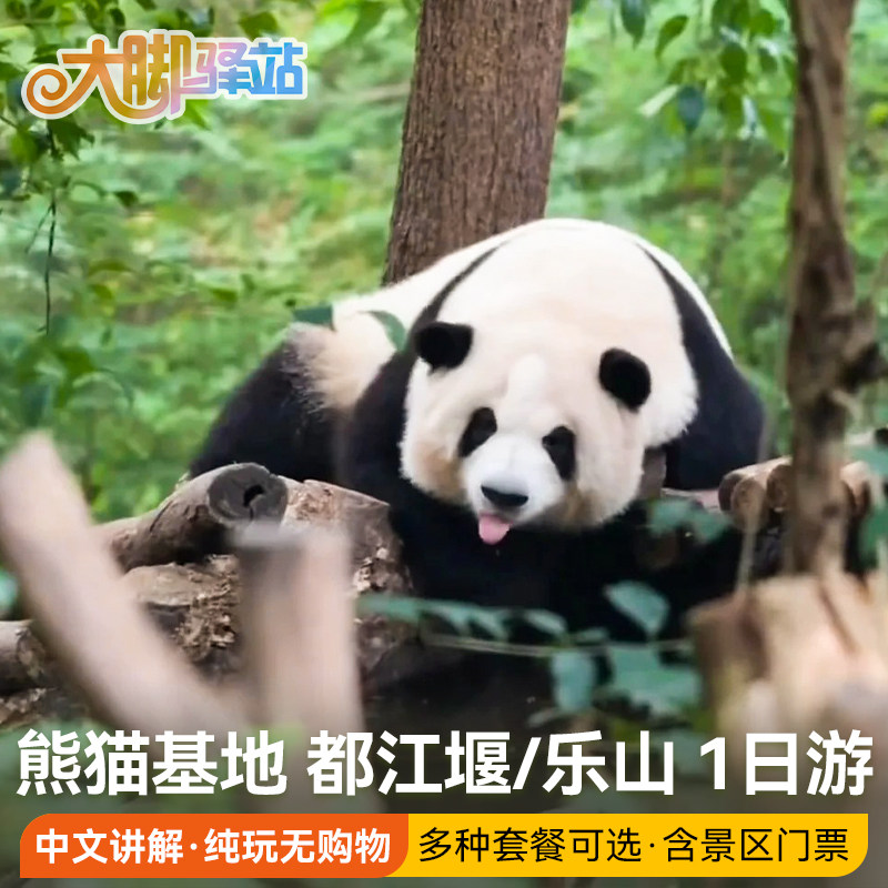 成都旅游熊猫基地都江堰三星堆乐山一日游跟团游周边游含景区门票 - 定制游预订