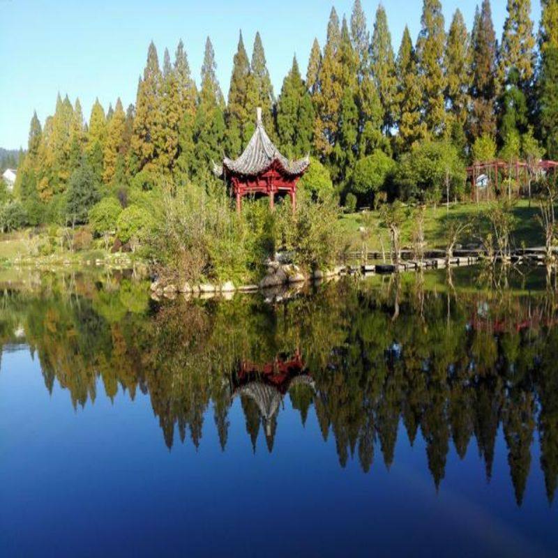 纯玩--安徽黄山迎客松江西婺源篁岭庐山含鄱口三叠泉6天5晚跟团游 - 定制游预订