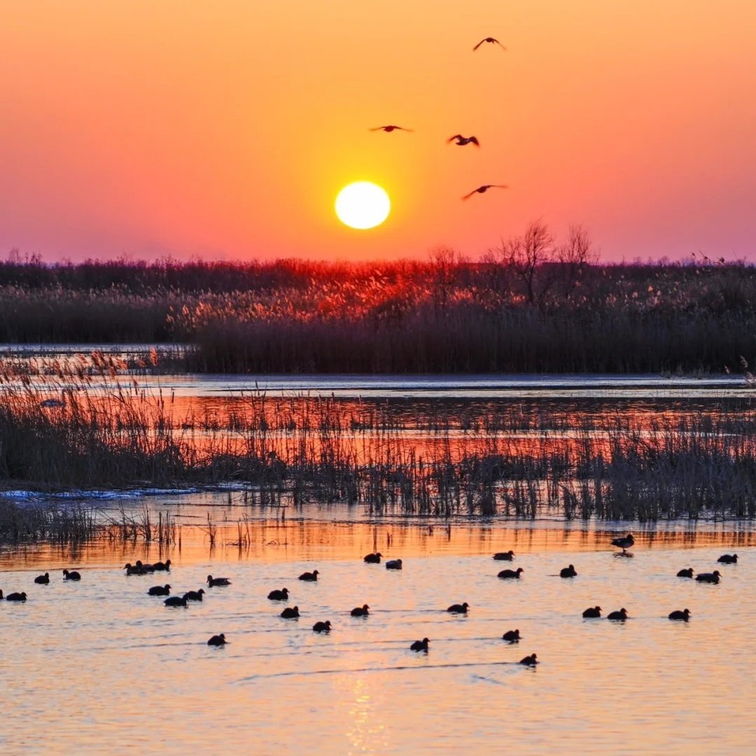 柏曼酒店(东营光谷未来城店)+黄河口生态旅游区成人门票+往返观光车 - 定制游预订