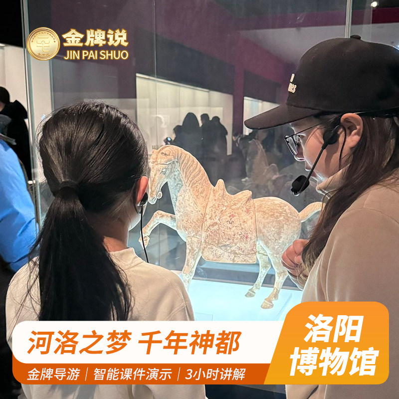 金牌说●洛阳博物馆讲解3H金牌导游大咖深度讲解 小团+含票可选 - 定制游预订