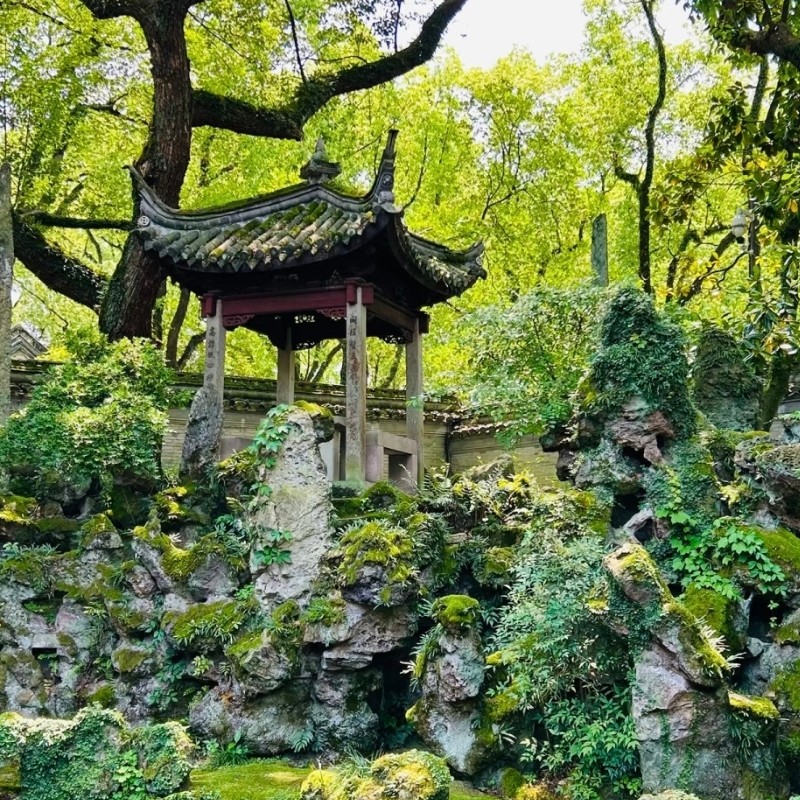 【畅游】宁波威斯汀酒店特大床客房两天一晚+天一阁