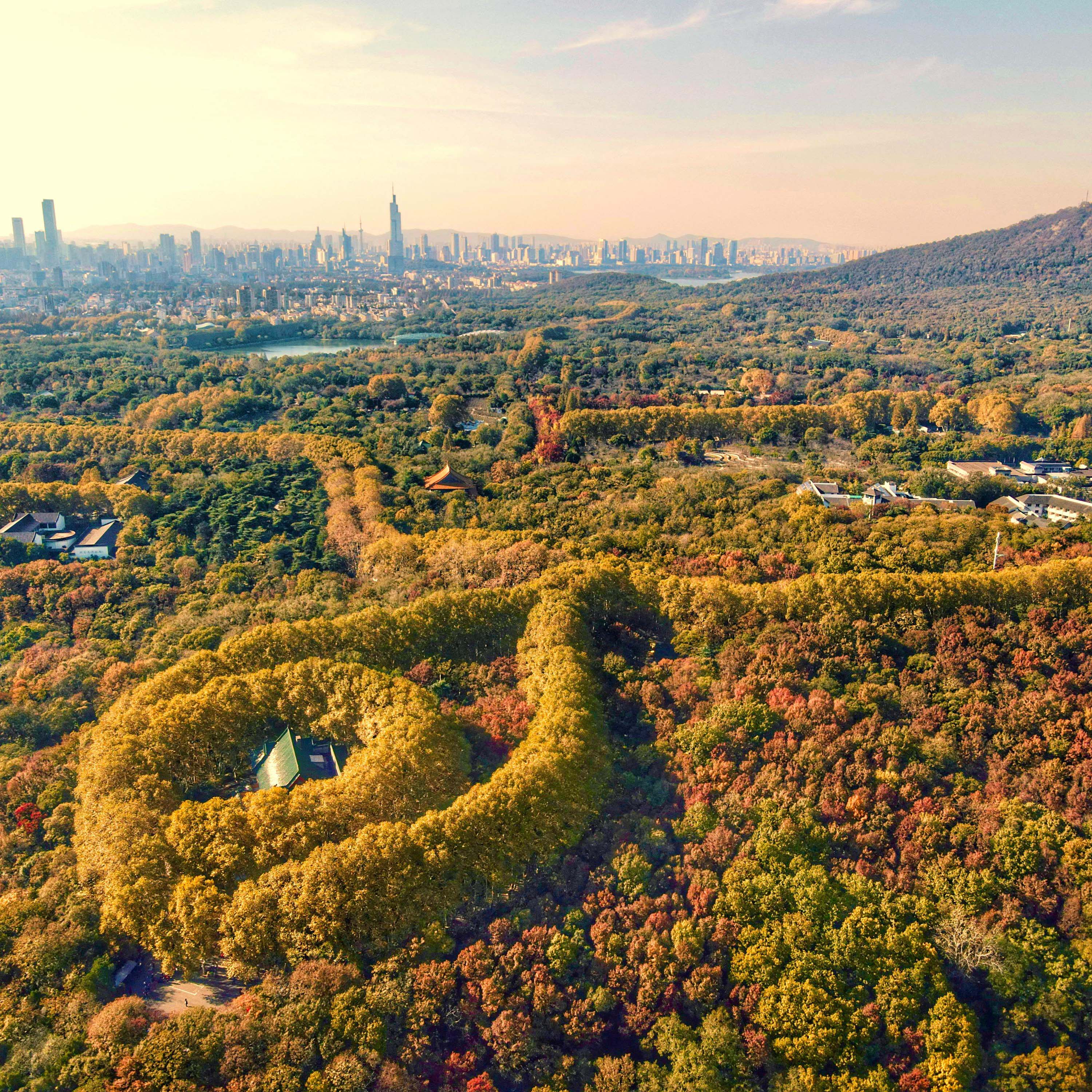 南京美龄宫+明孝陵+中山陵景区+音乐台钟山风景区一日精品小团 - 定制游预订