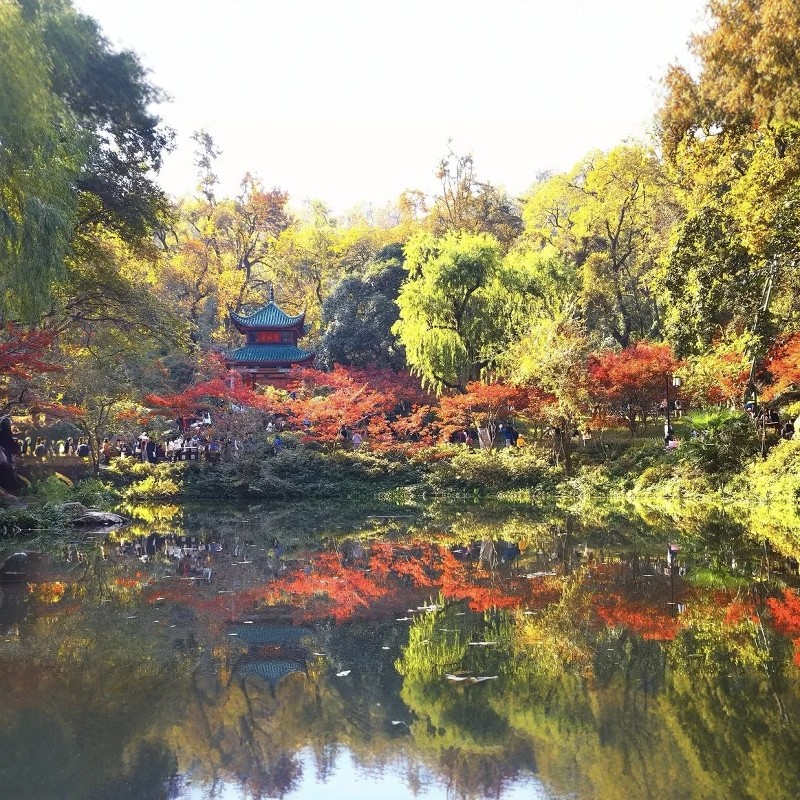 【乐享】长沙高端品牌连锁酒店2天1晚自由行+橘子洲+湖南省博物馆