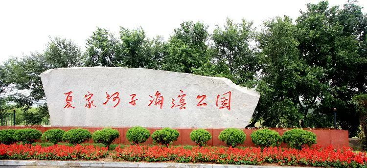 夏家河子公园图片