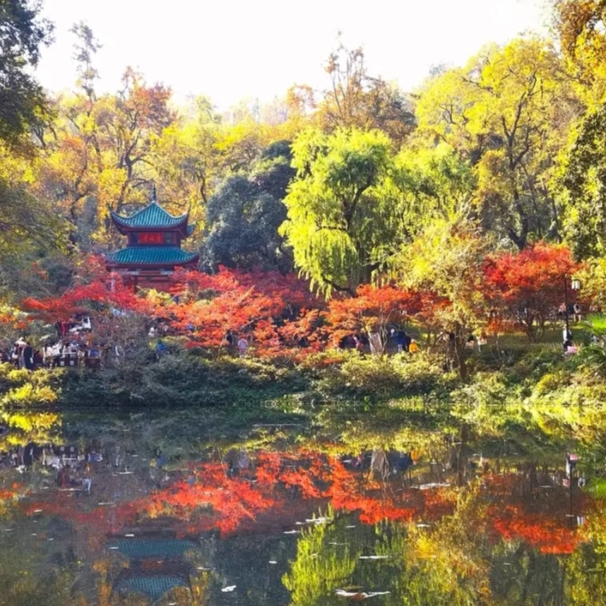 x【3天2晚】长沙自由行住全季酒店((五一广场芙蓉中路)+长沙景点+可选择其它酒店 - 定制游预订