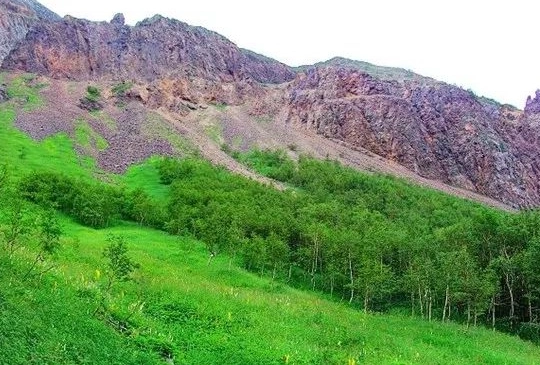 高山苔原带图片