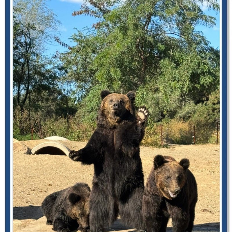 辽宁政协会馆1晚+关东影视城门票