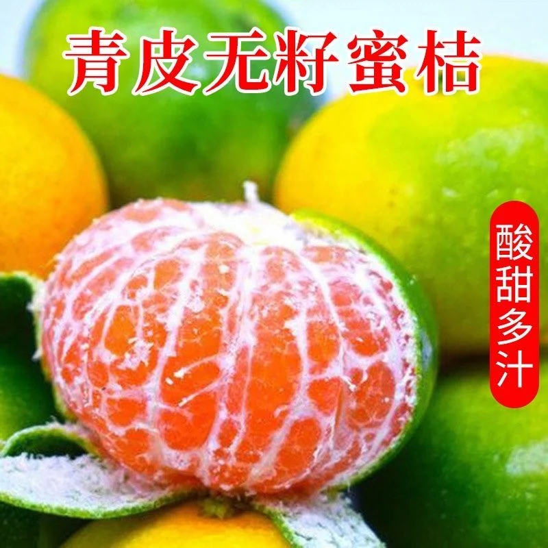 淘宝买菜 云南高山青皮无籽蜜桔 中果55~70g 5斤 天猫优惠券折后￥8.84包邮（￥15.84-7）