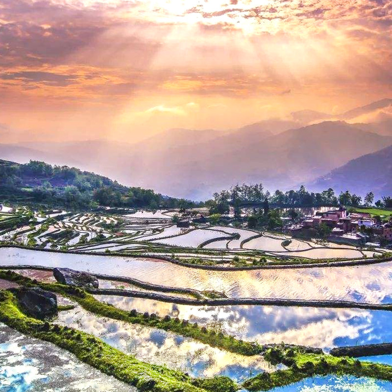 昆明东川红土地抚仙湖建水元阳哈尼梯田蒙自普者黑弥勒泸西8日游