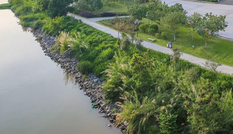 滨水湿地公园图片