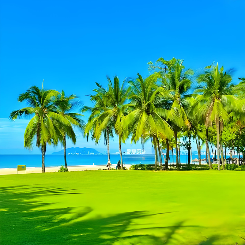 【双11放价】3天2晚海南昌江棋子湾度假酒店海景房+双早+棋子湾门票+海边下午茶 - 定制游预订