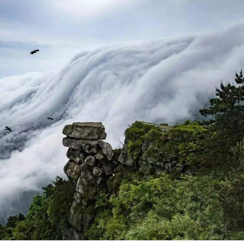 上限30人团庐山潘阳湖婺源篁岭晒秋三清山瓷都景德镇婺女洲4日 - 定制游预订