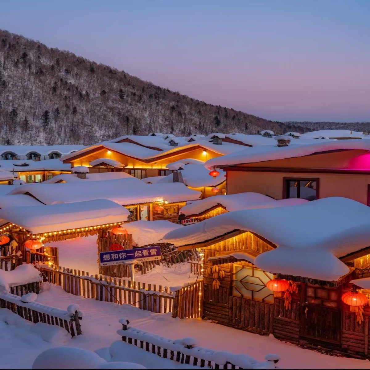 【2-10人】东北跟团游6天5晚哈尔滨+雪乡+亚布力滑雪+冰雪大世界 - 定制游预订