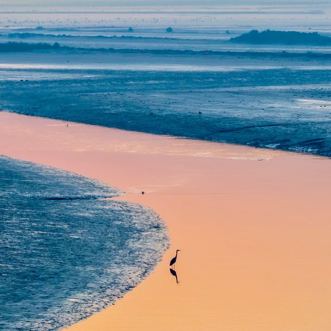 柏曼酒店(东营光谷未来城店)+黄河口生态旅游区成人门票+往返观光车