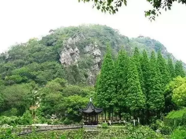 亭林园玉峰山门图片