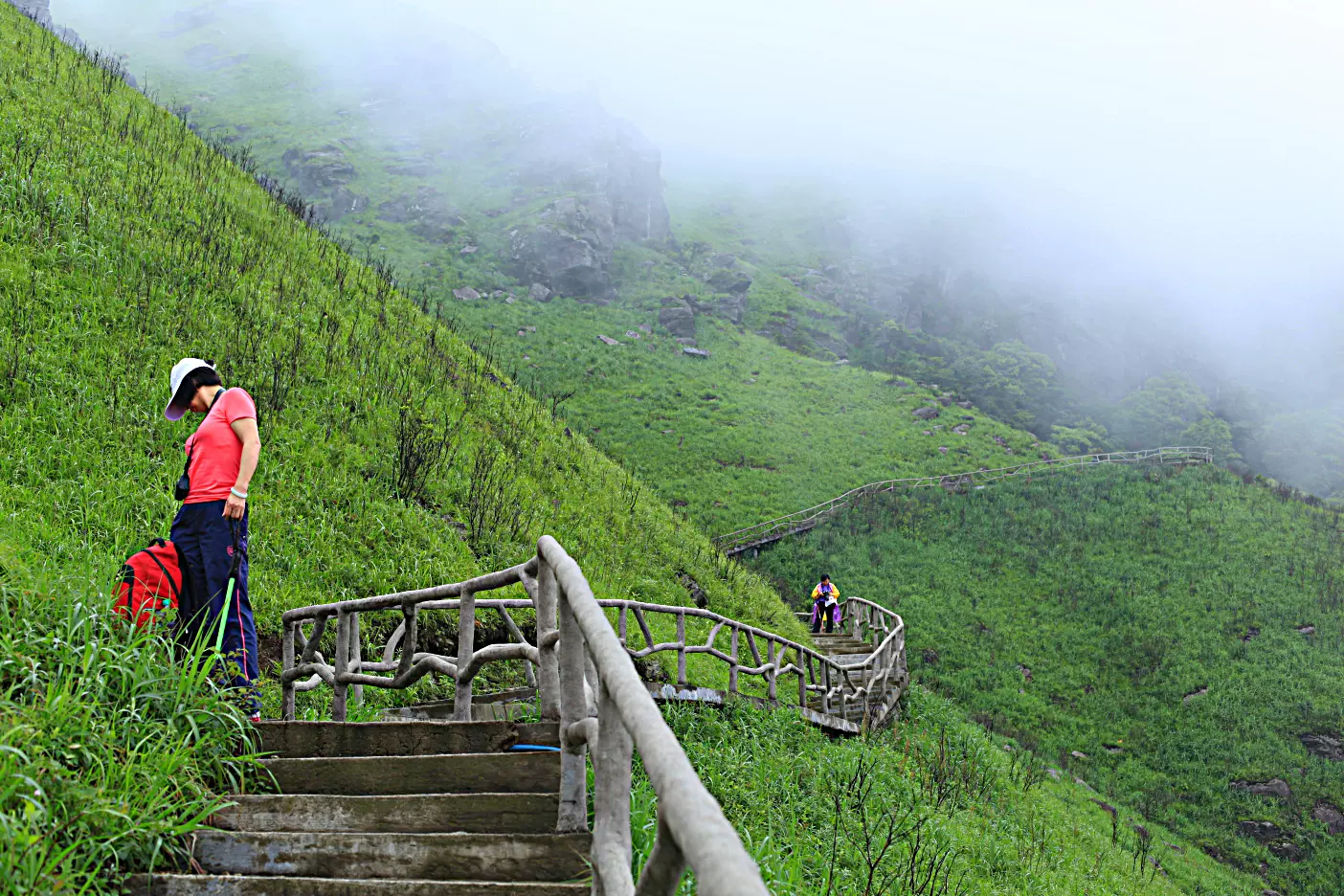 高山草甸图片