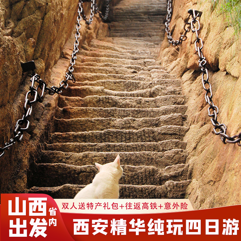 【限时送演出】山西省到西安旅游兵马俑华山大唐不夜城市内四日游 - 定制游预订