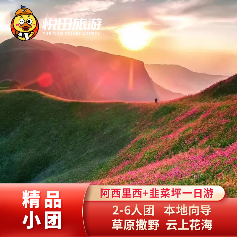 贵州六盘水/毕节至阿西里西+韭菜坪一日游 2-6人纯玩小团包车旅游 - 定制游预订