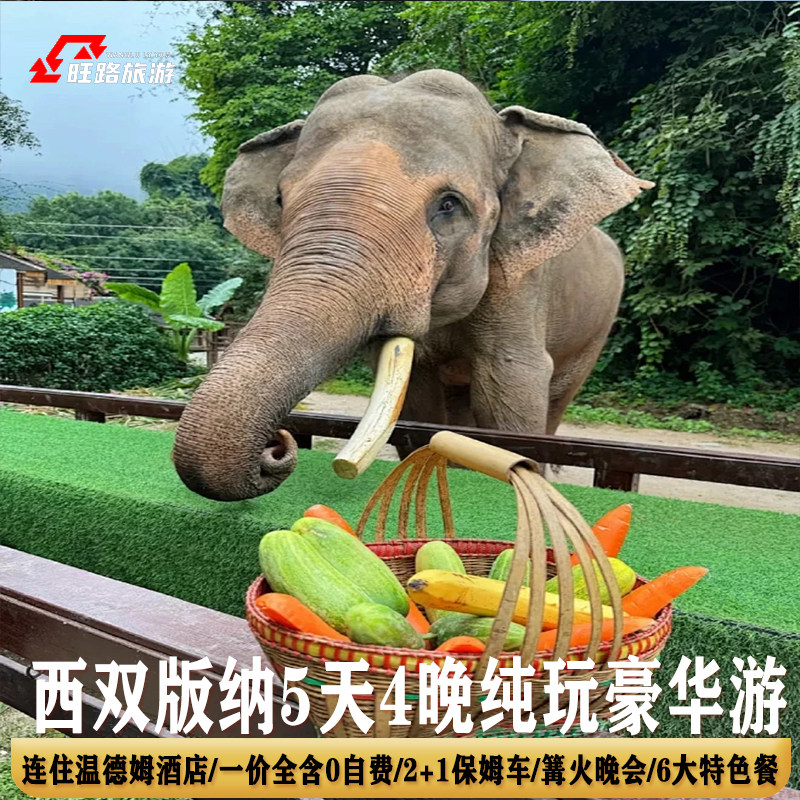 双飞含机票西双版纳旅游5天4晚原始森林公园傣族园野象谷电音派对 - 定制游预订