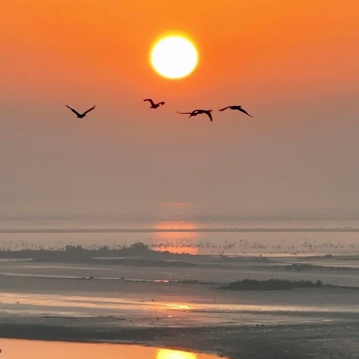 柏曼酒店(东营光谷未来城店)+黄河口生态旅游区成人门票+往返观光车