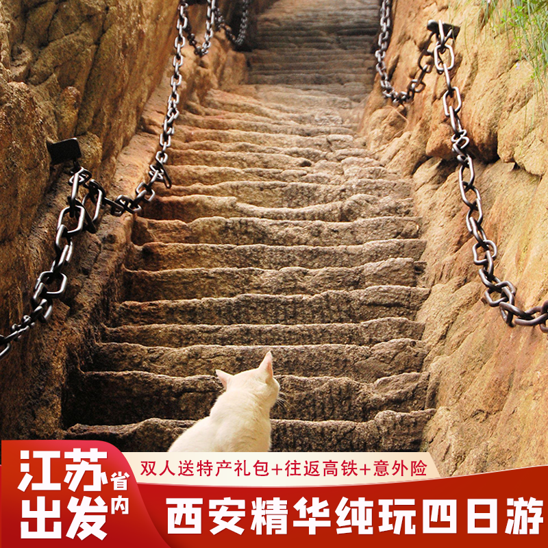 【限时送演出】江苏省到西安旅游兵马俑华山大唐不夜城市内四日游 - 定制游预订